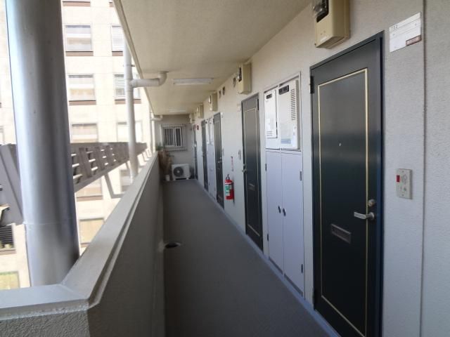 ���p�����ł��B