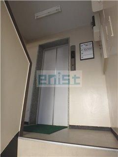 �G���x�[�^�[