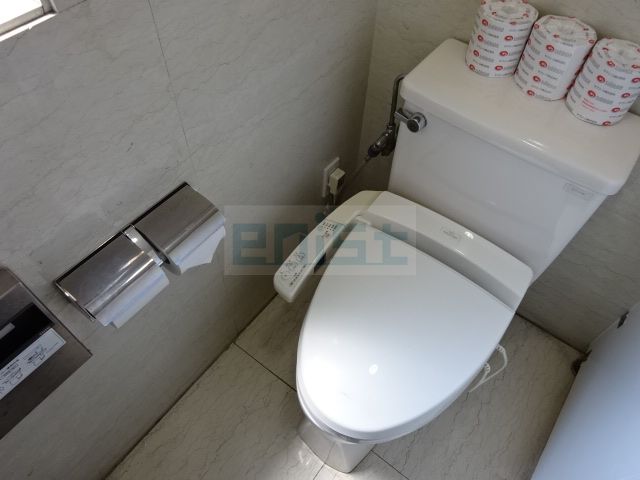 �j���ʃg�C���ł��B(�����ׁ̈A�Q�l�ʐ^)